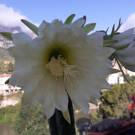 Piso Con Desayuno Incluido Y Vistas A La Montana. Apartamento Monistrol de Montserrat Exterior foto
